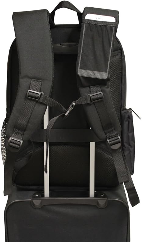 61qpgzuF4BL._AC_SX466_