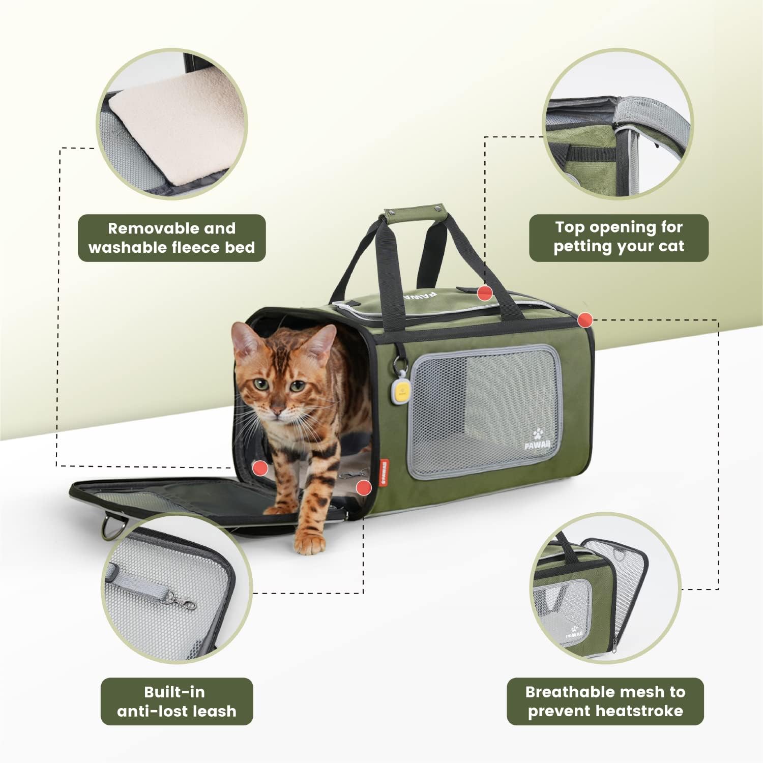 71Ikns6jpXL._AC_SL1500_